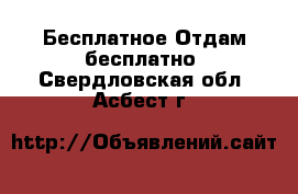 Бесплатное Отдам бесплатно. Свердловская обл.,Асбест г.